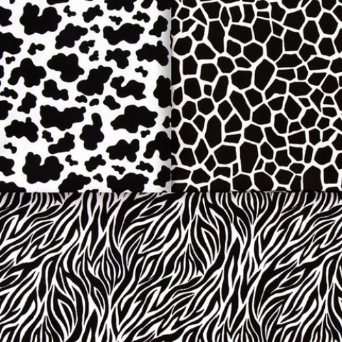 114AU23 Pinflair Black And White Animal Prints 
