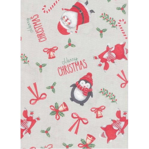 FCN104 Text And Christmas Novelty On Cream Background