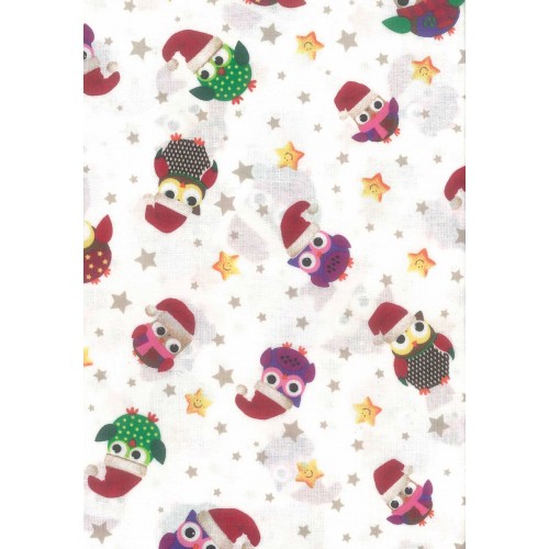 FCN121 Owls With Santa Hats On White Background