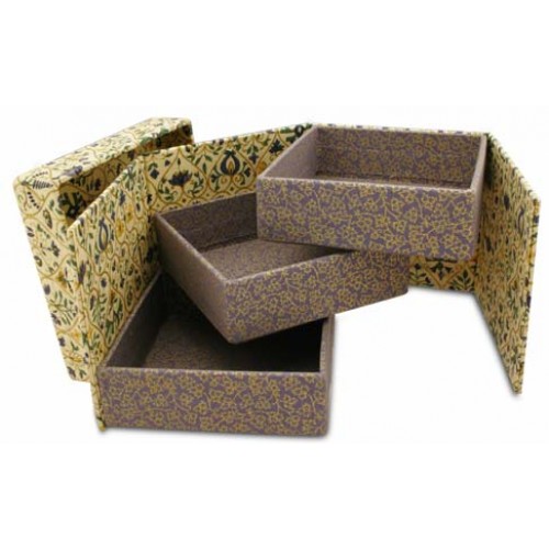 BA202 Box for 1001 Things