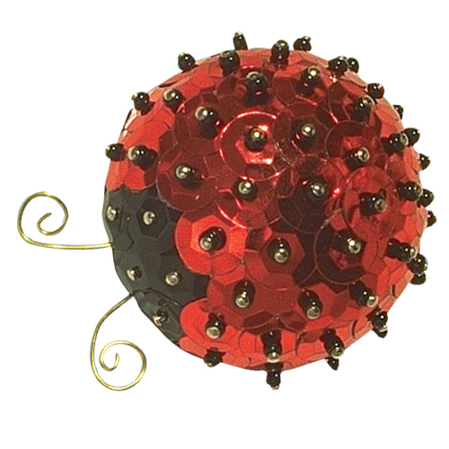 Letty Ladybird & Family