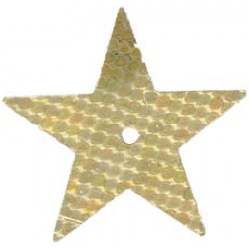 Gold Hologram Large Star Sequin