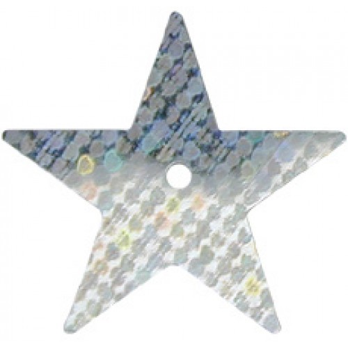 Silver Hologram Large Star Sequin